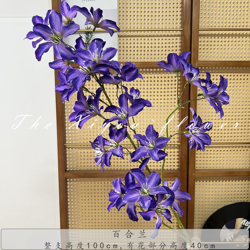 릴리 오키드-딥 퍼플