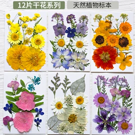 干花;拼插类玩具;科教玩具