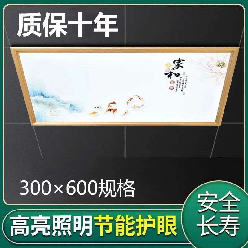 Integrated Ceiling Led Light 300*600 Kitchen Light Bathroom Embedded Rectangular Ceiling Light Buckle Light 3060