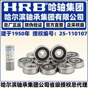 HRB �����I�S�� 603 604 605 606 607 608 609 623 624 695 -ZZ