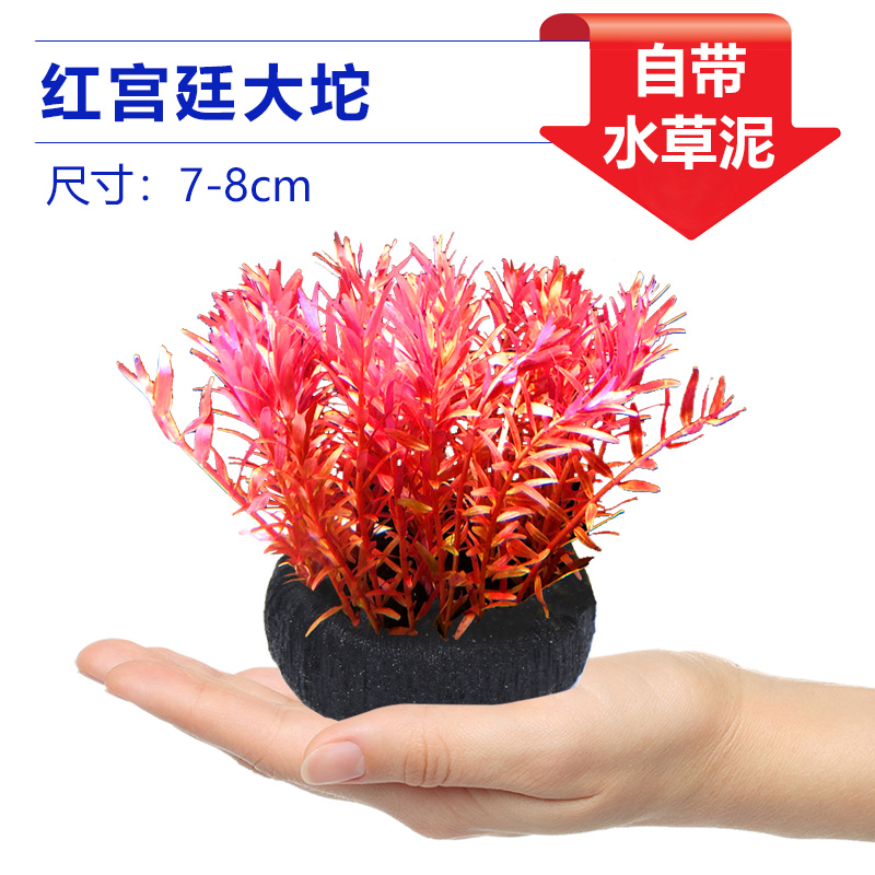 붉은 궁전 풀 [얼리 어답터 가격]❤특별한 제안]