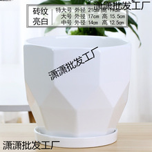 ��ƿ�մɷN�������ֵ��ƿ�߼��л�Ƥ�m���X����軨��ح�߿�