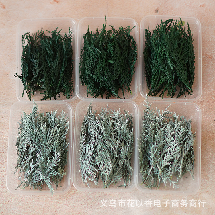 【松の枝柏の葉】クリスマスツリーdiy手作り花輪飾りグリーン永生花ヒノキ香薫ろうそく乾燥花|undefined