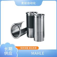 ��о ���� �¹� MAHLE PI 73004 DN PS VST 10 Һѹ������