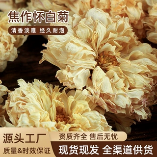 怀白菊养生花茶贴牌 OEM 焦作源头怀药厂 罐装袋装明目花茶定制