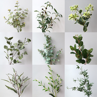 Gֲ~ҾӔ[ŻYzӰb^@Ӱ٘