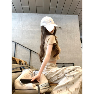 �P���lؔС�R��2026�¿���zţ���޼��Wţ�����ѝŮ������ѝ��