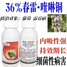 �����36%�������ͪ �߲˹�����Ϲ�����˪ù�������rș������