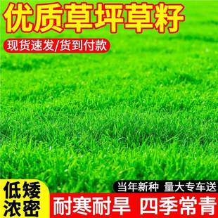 ��ƺ���ѹ������R����ͥԺ��̺�ݷN�ļ�����������o�¾G���ݷN��