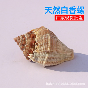 ���l��Ȼ����ؐ���ڰ����ݘ˱��ľ�з��Q���~���b��쾰�[��diy