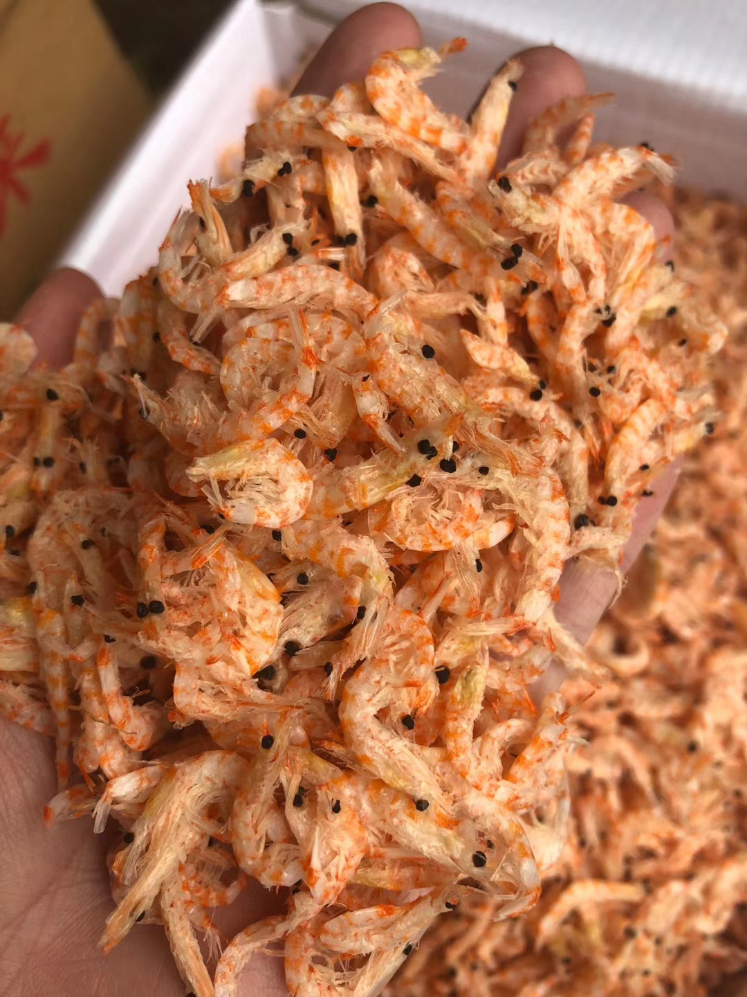 b站虾是什么 水晶虾皮是什么虾