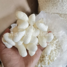 桑蚕削口茧可提取蚕丝蛋白茧壳装饰品蚕茧充气标吊牌优质原料填充