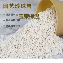 养花用珍珠岩颗粒保温透气多肉蛭石园艺种植育苗绿植兰花营养土