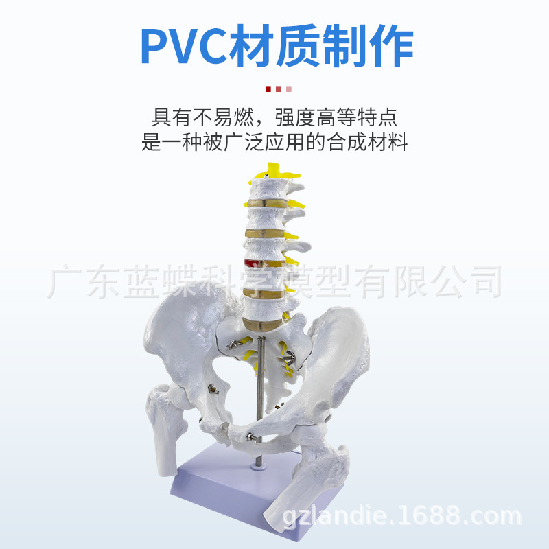 1��1���Թ���걾ģ���Ĺ����ǳܹ���ʾ��Ȼ�����������׵������