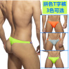 Foreign trade 2023 new pattern AD swimming trunks Low-waisted sexy T-back Awkward Cup printing Color matching swimming trunks Cross border