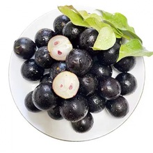嘉宝果新鲜沙巴果树葡萄鲜果孕妇稀罕见水果果子直发速卖通批发