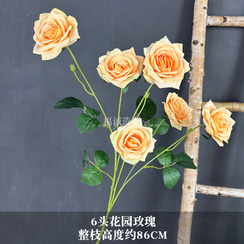 6송이 가든 로즈