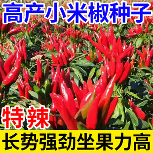 ���˽��ļ�С�׽������N��������ͥԺ�̨���Գ��콷�N�������N��