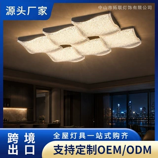 客厅吸顶灯意式现代极简2026年新款大厅主灯轻奢高级感设计师灯具