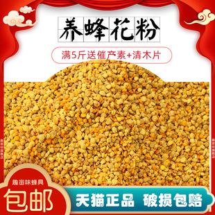 beekeeping pollen feeding bee rape pollen bee feed hundred flowers mixed pollen bee food bee bee bee products