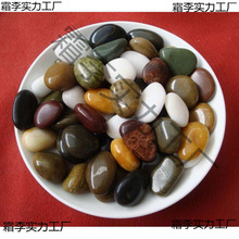 石乌龟小石子鱼缸装饰布天然鹅卵石头养盆景斤装造景沙铺底花彩