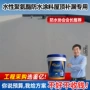 补漏堵漏外墙屋顶涂料