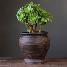 �¹��չ������ش�̖�մɻ���Gֲ��ڏ�͸�����Ի�ƿ���������l