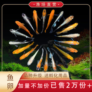 �^�����F�~�~�����F�~��ˮ��ˮ�~С���\���~�ɷ���ħ���^�p�~��