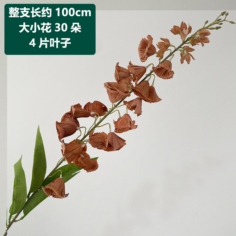 Brown long-branch lily of the valley