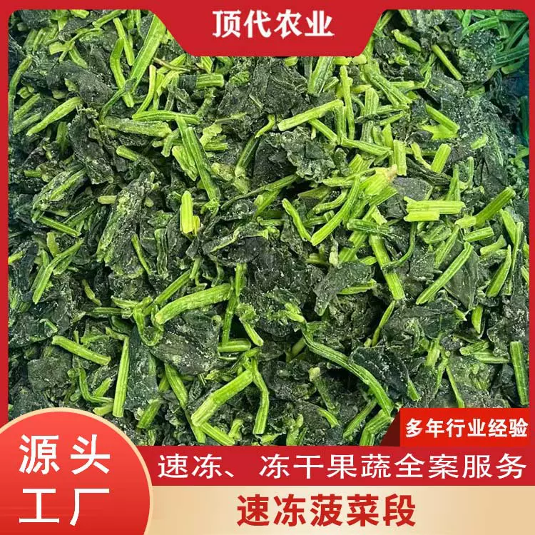 速冻菠菜段出口冷冻菠菜新鲜蔬菜配菜速冻菠菜丁冻菜厂家批发直销