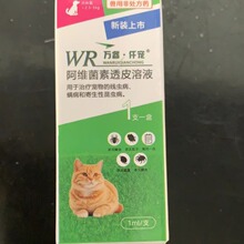 宠物犬猫体外滴剂阿维菌素透皮溶液线虫和螨病体外驱虫外用药