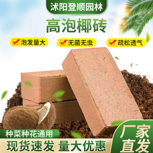 ���ݰlҬ�uҬ�u�I�B�B�����sͨ����Ҭ�u���N�߲��ЙC�NֲÓ�}Ҭ��