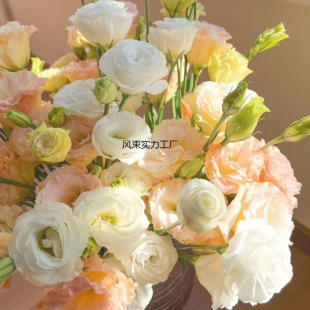 �������ֱ�l���r��۹���đ���滨��������l�҃�ˮ�B�r��