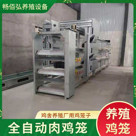 自动清粪全套养鸡设备全自动控温肉鸡笼养殖场用立体养鸡笼子