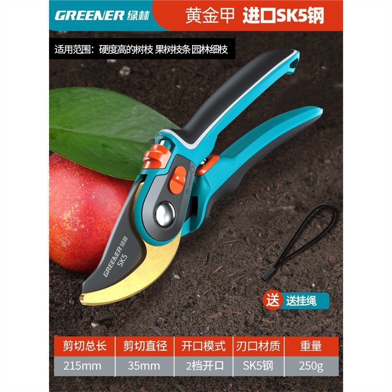 Tijeras florales Artesanía alemana Ramas de frutas Tijeras de ramas Cuchillos Tijeras de poda Bosque verde Jardinería Poda importada Envío gratis