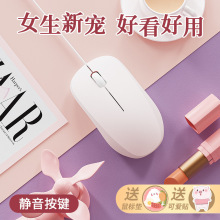 �о���˸��ֵ�o���k�����w���WС������չPӛ��̨ʽ��X�m��