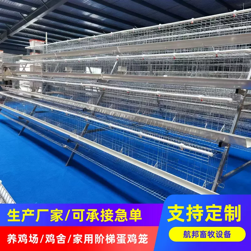 A型阶梯蛋鸡笼 养殖设备三四层蛋鸡笼 冷镀锌阶梯蛋鸡笼厂家批发
