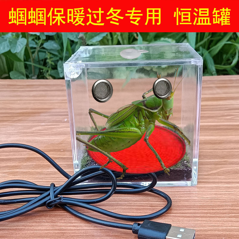 蝈蝈恒温罐鸣虫恒温盒发热罐保温造景生态箱宠物罐蝈蝈过冬