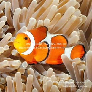 �~�^�p�~С��ӡ��ѩС���~��ĪС���~�����˹�����ںں�ˮ�����~