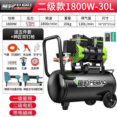 Feibao Small Oil-Free Silent Air | Hava kompressorları - double-tube-upgrade-1800w-30l-woodworking-package