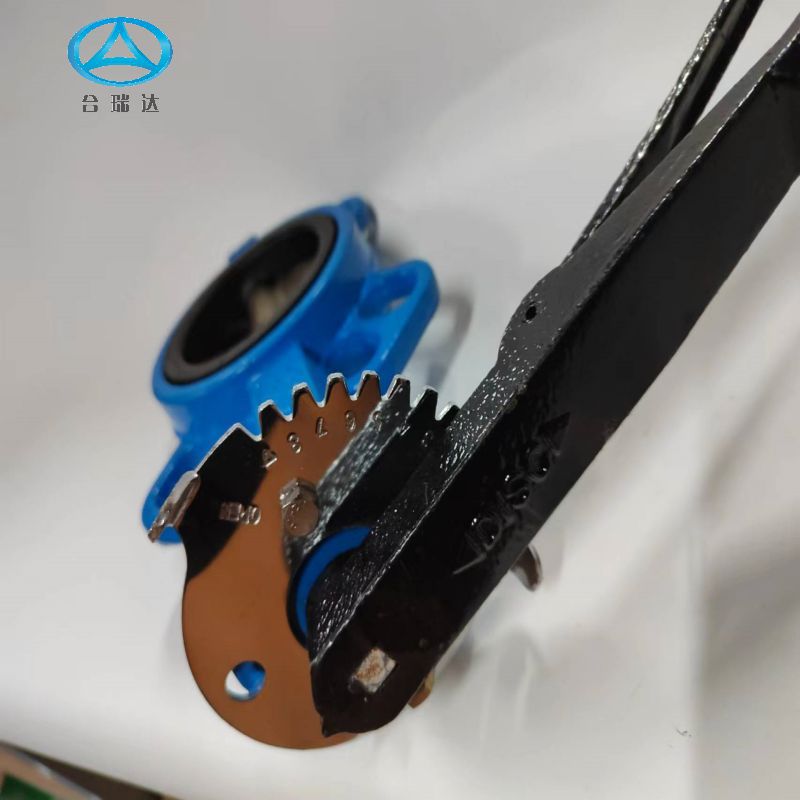 8孔对夹式蝶阀5