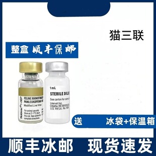 Rabies Vaccine for Adult Cats and Kittens to Prevent Cat Plague, Package Shipped by Sf Express
