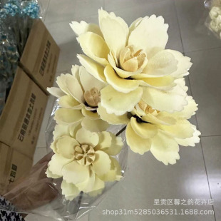 �_��ĵ�� ����ֹ��ɻ�ľƬ���b廨 �ɻ��Ҿ�ܛ�b�[�O�Ĕz��