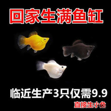 �R�����a ֱ�����~����  ��̖�������~ �������Ĥ �����ͻ���B