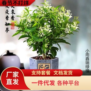 һ�����lҹ�������Ԙ���ͥԺ�̨�ļ��_���Gֲ����������՚����