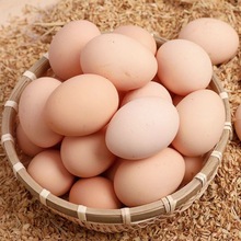 鮮雞蛋批發新鮮土雞蛋農家散養無抗生素草雞柴雞蛋笨30枚40枚整箱
