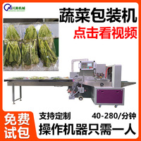 蔬菜枕式包装机 三伺服生鲜果蔬娃娃菜卷膜套袋机水果自动包装机