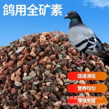 �羳�������ӱ���ɰ�t�����}�F؛ȫ�V������ɰ���l��̖�Rȫ�V��