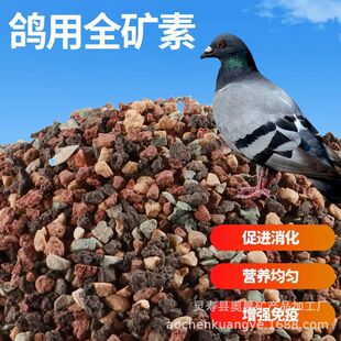 �羳�������ӱ���ɰ�t�����}�F؛ȫ�V������ɰ���l��̖�Rȫ�V��