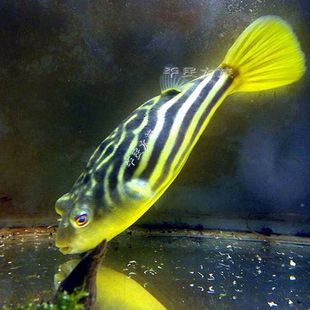 �����M��Ұ�����R���^�~��ˮ�������Ϳɐ۟Ꭷ�~�^�p�~����İ�